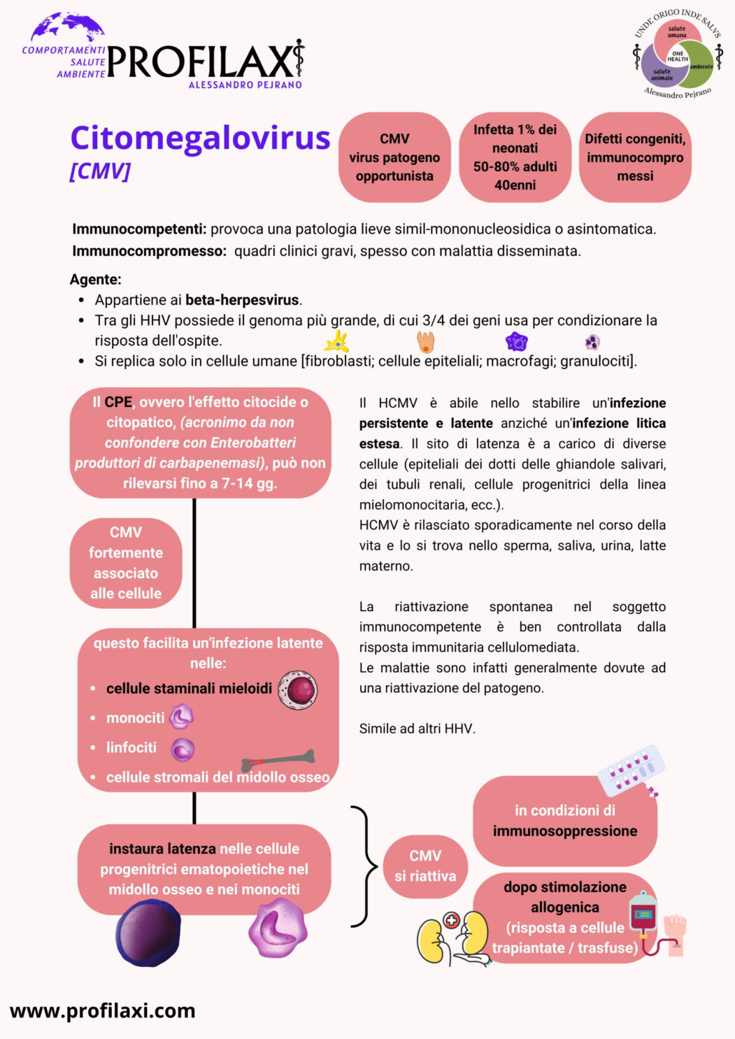 Citomegalovirus1