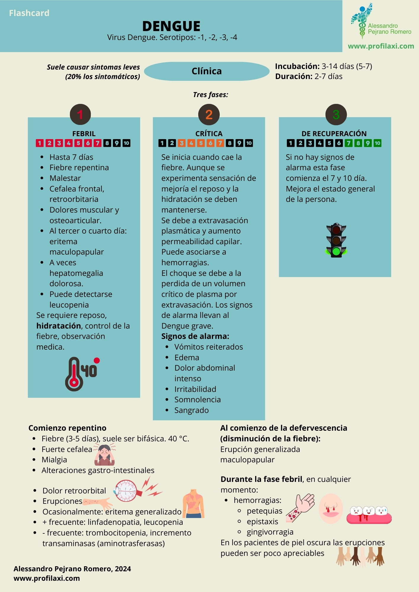 Flashcard sobre Dengue